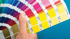 РАЗНООБРАЗНАЯ ЦВЕТОВАЯ ГАММА